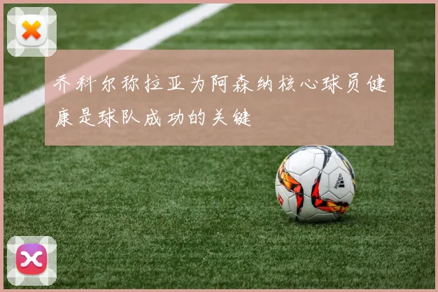 乔科尔称拉亚为阿森纳核心球员健康是球队成功的关键