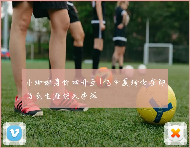 小蜘蛛身价回升至1亿今夏转会在即马竞生涯仍未夺冠