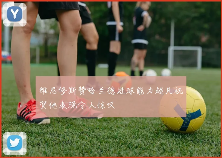 维尼修斯赞哈兰德进球能力超凡祝贺他表现令人惊叹