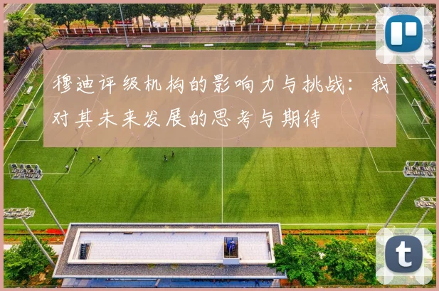 穆迪评级机构的影响力与挑战：我对其未来发展的思考与期待