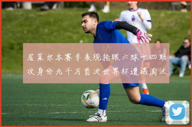 居莱尔本赛季表现抢眼六球十四助攻身价九千万首次世界杯遭遇淘汰