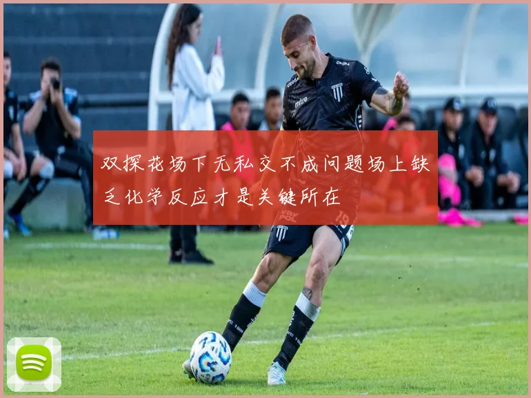 双探花场下无私交不成问题场上缺乏化学反应才是关键所在